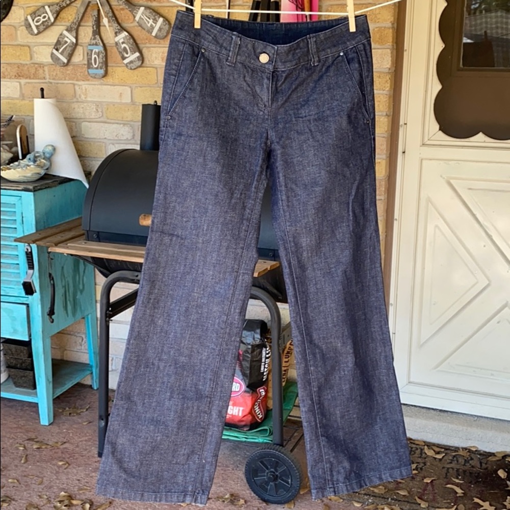 Ann Taylor dress jean